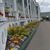 Flower Beds at the Grand Hotel Luncheon Buffet and Self Guided Tour