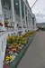 Flower Beds at the Grand Hotel Luncheon Buffet and Self Guided Tour