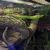 A vivid green snake is perched on a branch in a terrarium, displaying its sleek body and alert eyes.