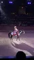 A performer in a historical costume is riding a horse in an indoor arena in front of an audience.