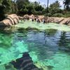 Sting Ray Cove at SeaWorld San Antonio