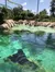 Sting Ray Cove at SeaWorld San Antonio