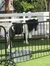 A black and white pony stands behind a black metal railing on artificial grass, with a water tub in front and a white fence and wooden building in the background.