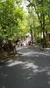 Walking Through Silver Dollar City