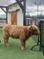 A Highland cow stands in front of the entrance to 'Skyland Ranch,' framed by leafy decorations and a mountainous backdrop.