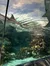 The image shows a view from inside an aquarium with a shark swimming near the surface and coral reefs visible below.