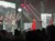 A live band performs on stage with nature-themed backdrops and dynamic lighting, captivating an audience.
