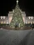 A group of individuals is posing for a photo in front of a large, illuminated Christmas tree at night, set against a building with classical architectural features.