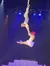 Two acrobats are performing an aerial routine against a starry background, one hanging upside down from a silk and holding the other by the hand.