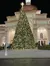 A large, brightly lit Christmas tree stands adorned with numerous ornaments in front of an elegant building at night, with people nearby enjoying the festive display.