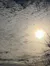 The image shows a textured sky filled with altocumulus clouds and a glimpse of the sun, with the silhouette of bare tree branches at the bottom.