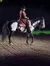 A person in a colorful, sequin-covered outfit and black hat sits on a black and white horse in an arena.