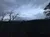 A dark, moody sky looms over a silhouette of leafless trees and distant hills.