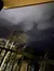 The image shows a nighttime scene with bare tree branches silhouetted against a cloudy sky, viewed from behind a railing.