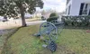 A historic cannon and a pyramid of cannonballs are displayed on a lawn near a building with white siding.
