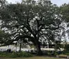 Zach, the tour guide, was very knowledgeable and provided a lot of detailed information.  We found it very interesting.XYZKathy Shumbera - Saint Cloud , Fl