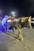 A horse pulls a carriage with bright lights, driven by someone dressed as the Grinch at night.