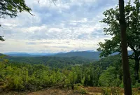 A lush, green forested landscape stretches toward distant mountains under a cloudy sky.