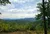 A lush, green forested landscape stretches toward distant mountains under a cloudy sky.