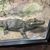 A crocodile is resting inside an enclosure with rocky surroundings and some hanging plants.