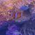 A clownfish is nestled among vibrant anemones in a colorful underwater scene.