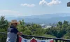 Smoky Mountain Views