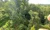 The image shows a view from above with a lush, green forest below and a person's arm and leg visible in the foreground, suggesting they are high above the ground, likely on a zipline or similar activity.