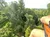The image shows a view from above with a lush, green forest below and a person's arm and leg visible in the foreground, suggesting they are high above the ground, likely on a zipline or similar activity.