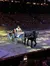A horse-drawn carriage is being driven in an arena with a large audience watching.