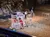 The image depicts a lively scene of performers dressed in colorful outfits setting up a racetrack called 