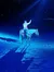 A person in an ornate outfit and hat rides a horse under a spotlight in a dimly lit arena, casting a long shadow.