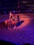 A performer in cowboy attire stands on two horses in an arena with a seated audience watching.