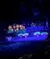Performers in vibrant, glowing costumes and large floral props create a colorful and fantastical stage display.