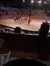 The image shows a live horse and cattle show in an arena viewed by a large audience from tiered seating.