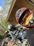 A group of people wearing helmets and protective gear are posing with their ATVs in a wooded area.
