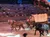 A horse-drawn covered wagon is being showcased in an indoor arena with an audience watching the performance.