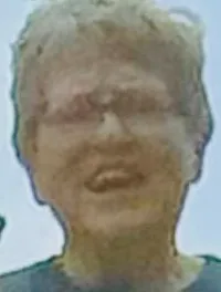 Two people are waving from a railing above a cascading waterfall.