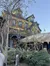A rustic, wooden house with blue-trimmed windows is partially obscured by leafy branches, set against a clear blue sky.