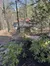 A small cabin with a red roof is nestled among tall trees and green foliage in a wooded area.