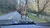 A deer is crossing a road in a forested area with a river flowing beside it.