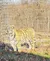 A tiger is standing behind a wire fence in a wooded area.