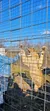 A person is giving a high-five through a metal fence to a lion standing on its hind legs.
