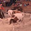 Longhorns at Dolly Parton's Stampede Dinner Show Pigoen Forge