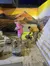 Two people are interacting with tortoises in an indoor exhibit with a mural of mountains and sand dunes.
