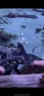 A person is reaching over a barrier to touch a ray in a shallow aquarium tank.