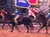 The image shows people on horseback carrying large blue and red flags in an arena with a rocky background.