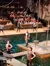 Performers dressed as pirates are entertaining an audience in a theater with a water stage.