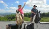 A man and a woman, both wearing cowboy hats, are sitting on artificial horses outdoors, with the woman raising her hand enthusiastically.