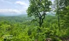 A scenic view of a lush green forest with rolling hills and a partly cloudy sky in the background.
