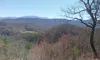 A scenic view of a hilly landscape with bare trees and distant mountains under a clear blue sky.